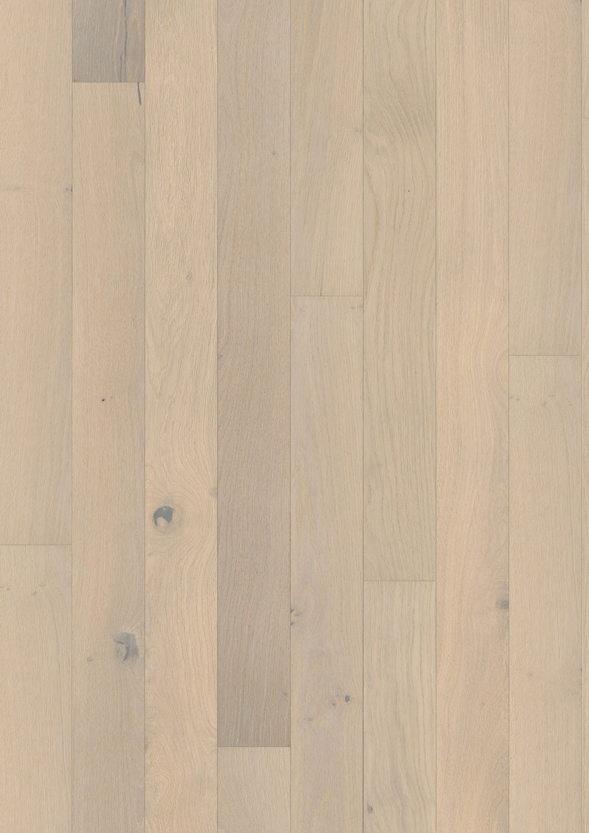 11357 Oak Mont Blanc