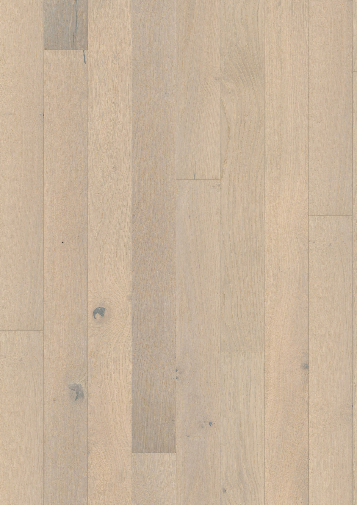 11358 Oak Mont Blanc