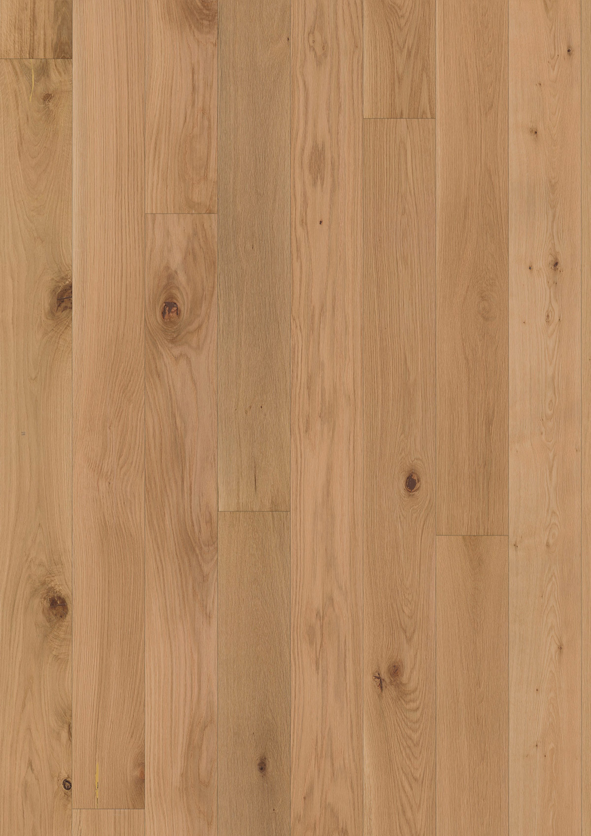 13629 Oak Denali