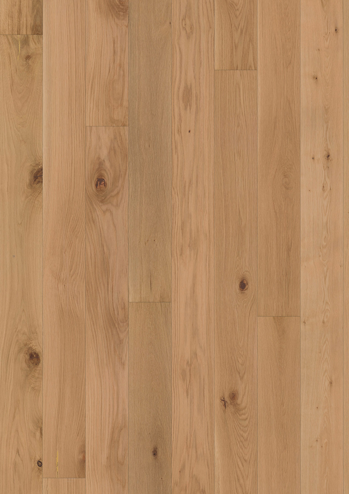 13630 Oak Denali
