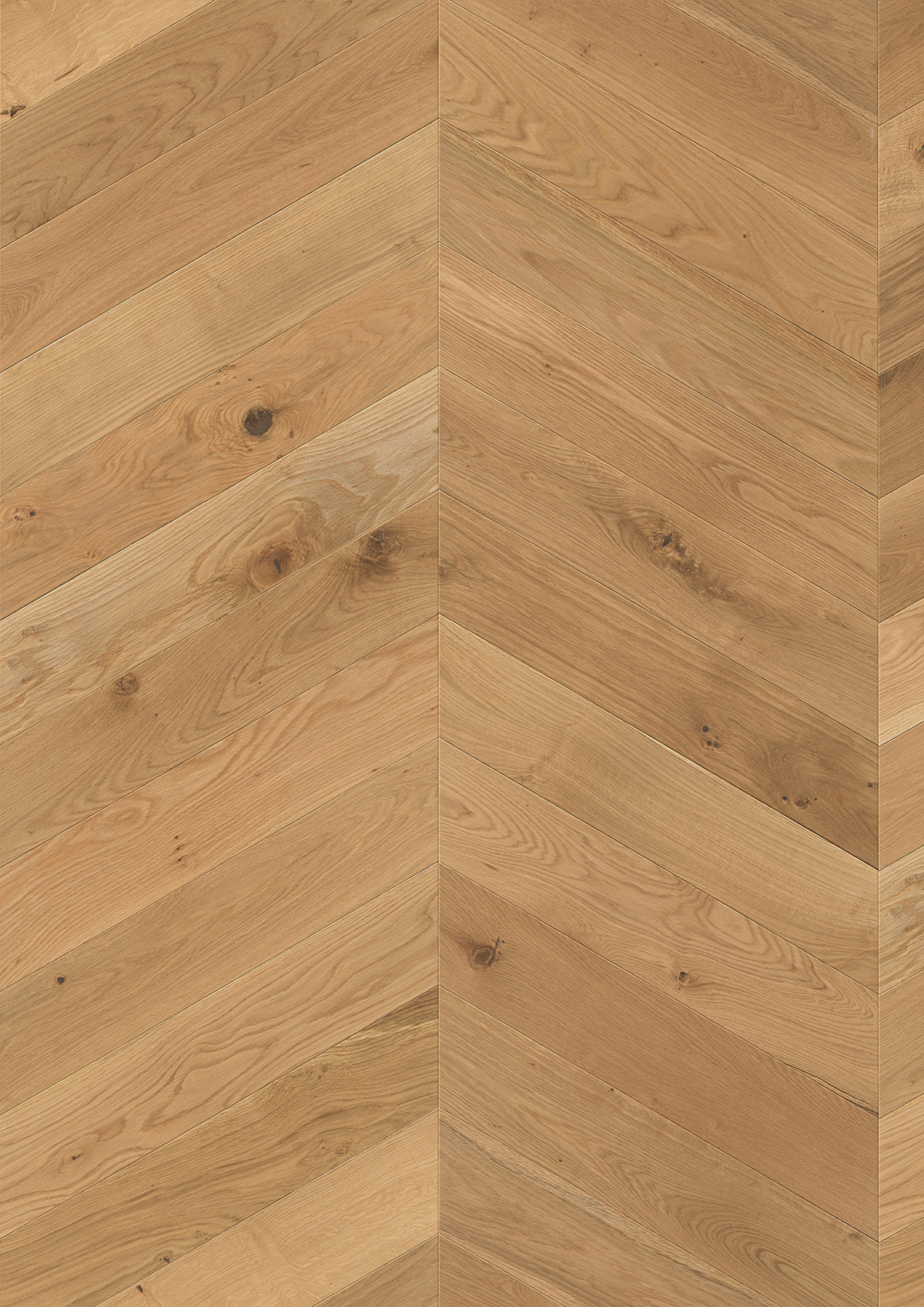 12021 Oak Matisse - Image 2
