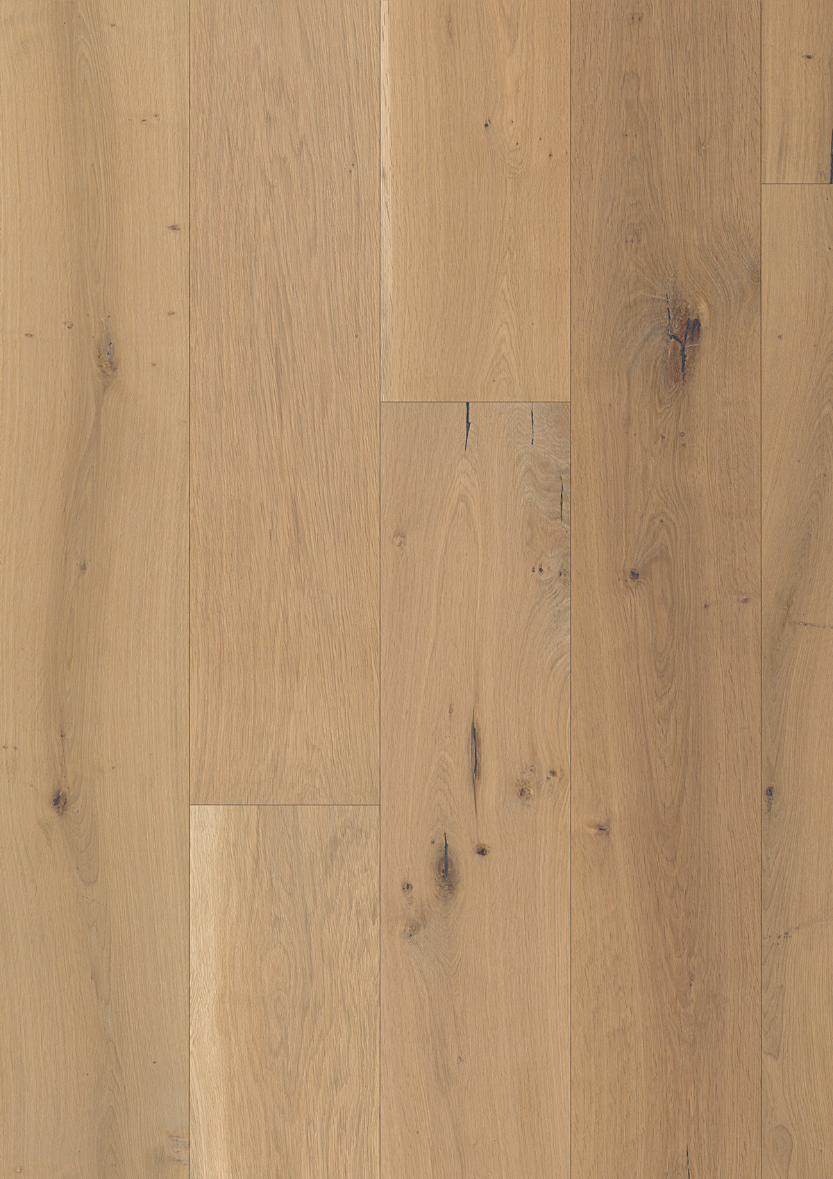 12944 Oak Provence - Image 2