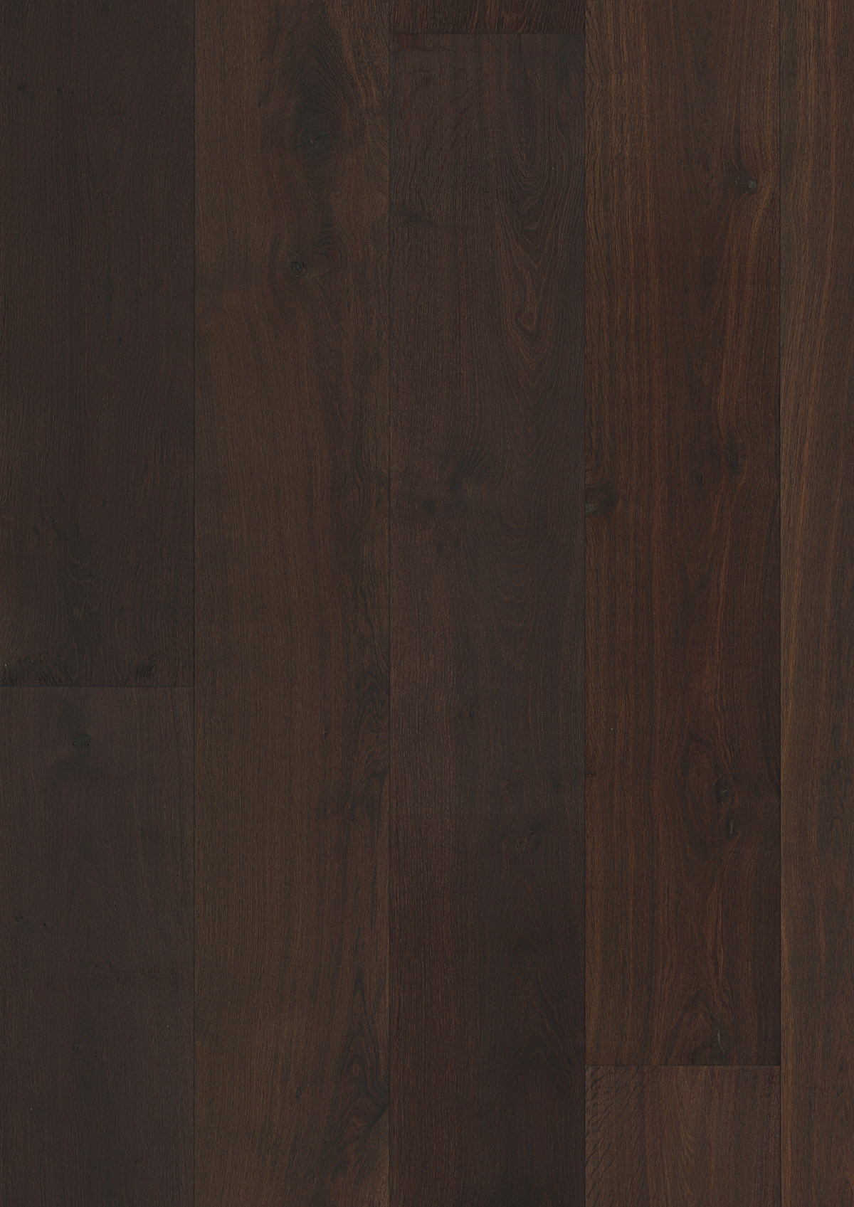 12956 Oak Champagne - Image 2
