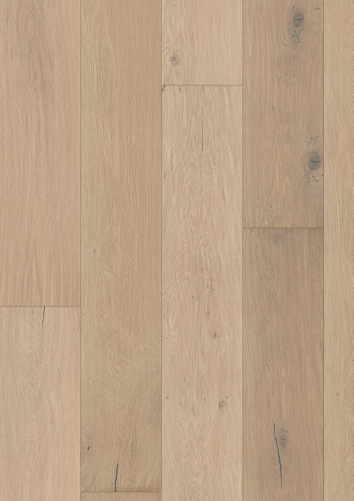 12964 Oak Veneto - Image 2