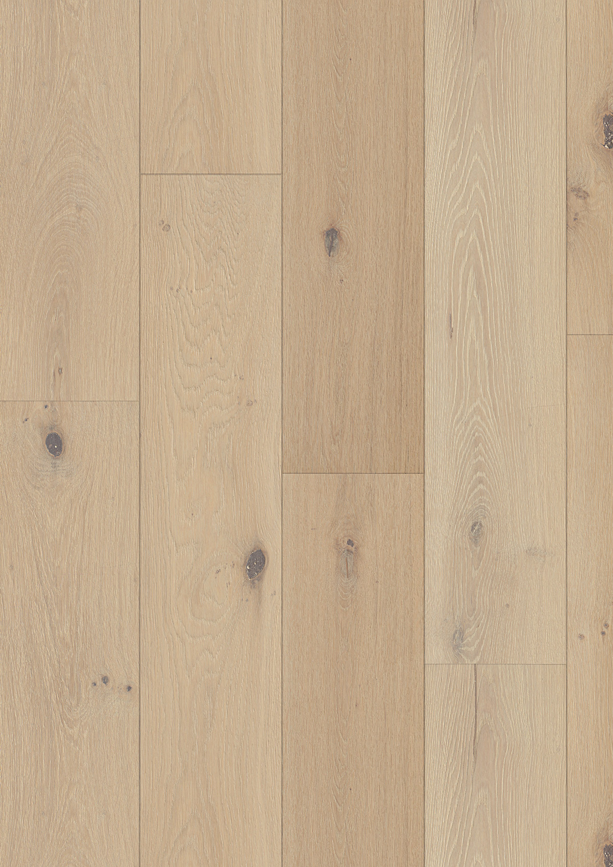13409 Oak Windsor - Image 2