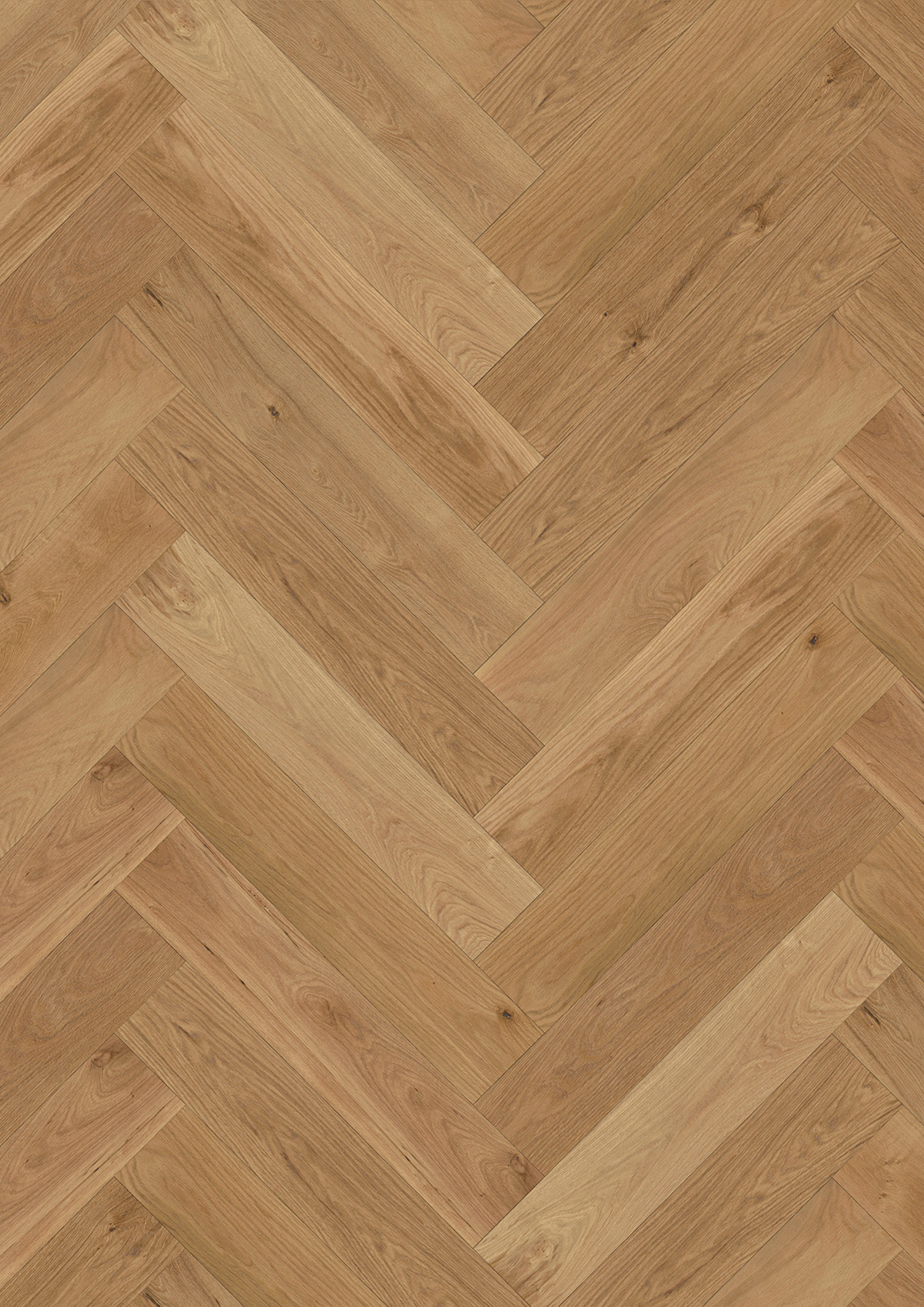 13476 Oak Rodin - Image 2