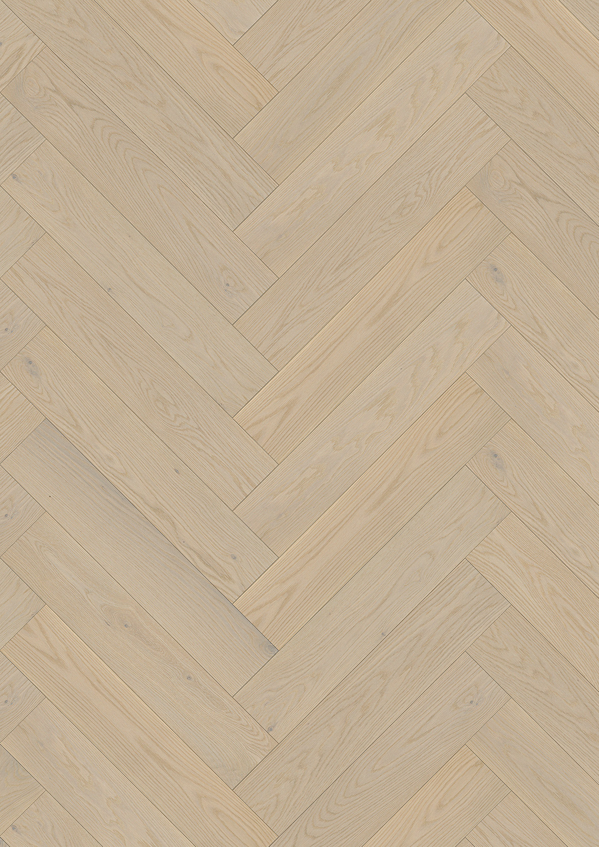 13481 Oak Zola - Image 2