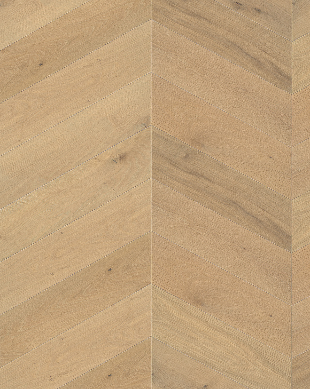 13510 Oak Renoir - Image 2