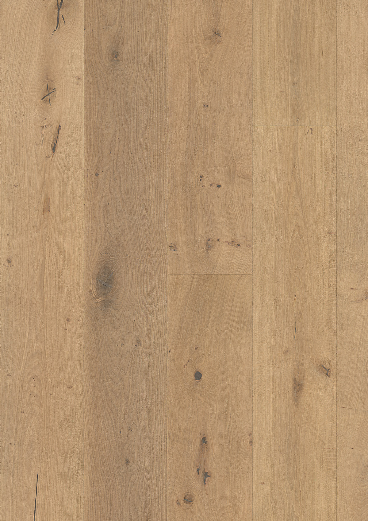 13514 Oak Chillon - Image 2