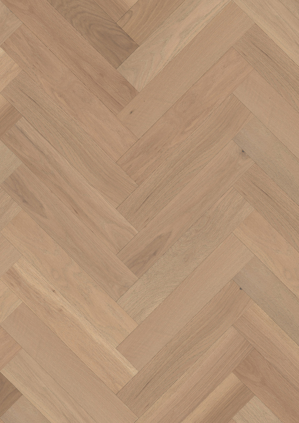 13759 Oak Van Gogh - Image 2
